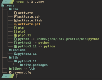 python-venv-structure.png